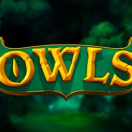 Owls